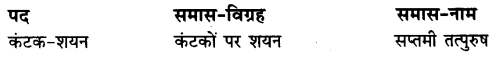 UP Board Solutions for Class 10 Hindi Chapter 2 ममता (गद्य खंड) img-1