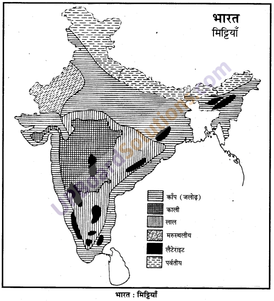 UP Board Solutions for Class 10 Social Science Chapter 4 भूमि संसाधन 1