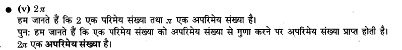 UP Board Solutions for Class 9 Maths Chapter 1 Number systems img-5