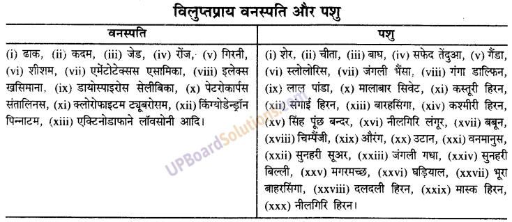 UP Board Solutions for Class 9 Social Science Project Work (प्रोजेक्ट कार्य)