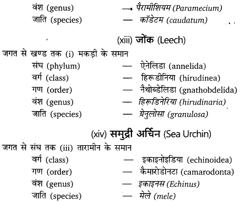 UP Board Solutions for Class 11 Biology Chapter 4 Animal Kingdom (प्राणि जगत) - UP Board UP Board Solutions for Class 11 Biology Chapter 4 Animal Kingdom (प्राणि जगत) - UP Board