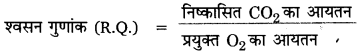 UP Board Solutions for Class 11 Biology Chapter 14 Respiration in Plants image 16