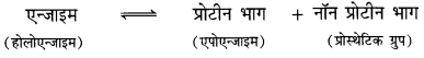 UP Board Solutions for Class 11 Biology Chapter 9 Biomolecules image 13