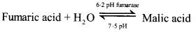 UP Board Solutions for Class 11 Biology Chapter 9 Biomolecules image 16