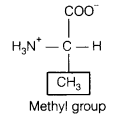 UP Board Solutions for Class 11 Biology Chapter 9 Biomolecules image 5