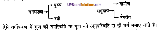 UP Board Solutions for Class 11 Economics Statistics for Economics Chapter 3 Organisation of Data 13