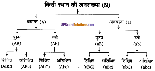 UP Board Solutions for Class 11 Economics Statistics for Economics Chapter 3 Organisation of Data 14