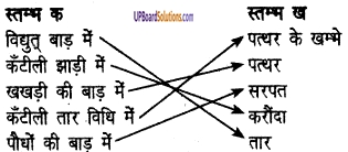 UP Board Solutions for Class 6 Agricultural Science Chapter 5 फसलों की सुरक्षा 1