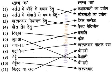 UP Board Solutions for Class 6 Agricultural Science Chapter 7 मुख्य फसलों की खेती 1