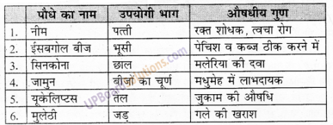 UP Board Solutions for Class 6 Environment Chapter 7 वन एवं वन्य जीव img-1