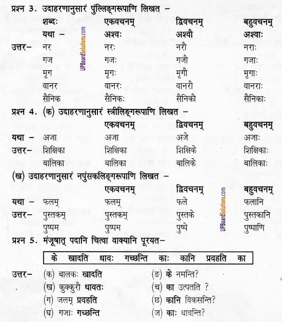 UP Board Solutions for Class 6 Sanskrit Chapter 1 पुनरावलोकनम्-1 5