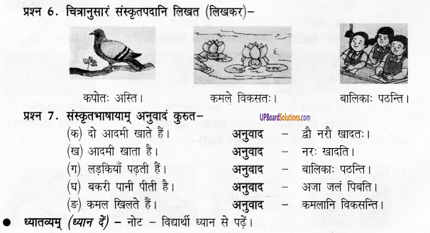 UP Board Solutions for Class 6 Sanskrit Chapter 1 पुनरावलोकनम्-1 6