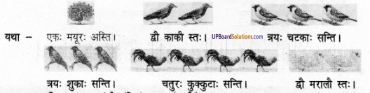 UP Board Solutions for Class 6 Sanskrit Chapter 13 काकः 1