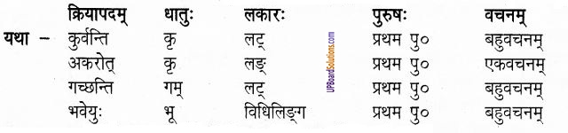 UP Board Solutions for Class 6 Sanskrit Chapter 14 रक्षाबन्धनम् 2