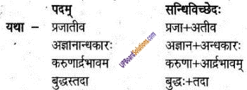 UP Board Solutions for Class 6 Sanskrit Chapter 16 अहिंसायाः जयः 1