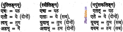 UP Board Solutions for Class 6 Sanskrit Chapter 2 पुनरावलोकनम्-2 1