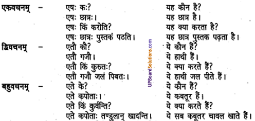 UP Board Solutions for Class 6 Sanskrit Chapter 2 पुनरावलोकनम्-2 2