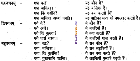 UP Board Solutions for Class 6 Sanskrit Chapter 2 पुनरावलोकनम्-2 3