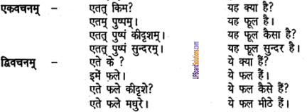 UP Board Solutions for Class 6 Sanskrit Chapter 2 पुनरावलोकनम्-2 4