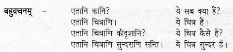 UP Board Solutions for Class 6 Sanskrit Chapter 2 पुनरावलोकनम्-2 5