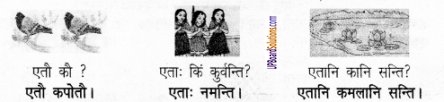 UP Board Solutions for Class 6 Sanskrit Chapter 2 पुनरावलोकनम्-2 7