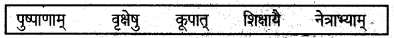 UP Board Solutions for Class 6 Sanskrit Chapter 3 अस्माकं परिवेशः 1