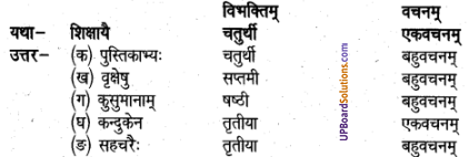 UP Board Solutions for Class 6 Sanskrit Chapter 3 1