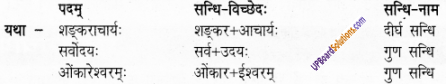 UP Board Solutions for Class 6 Sanskrit Chapter 8 शङ्कराचार्यः 2