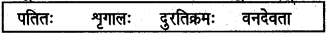 UP Board Solutions for Class 6 Sanskrit Chapter 9 नील-शृगाल 1