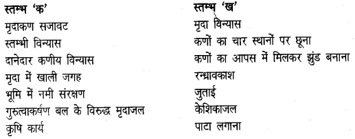 UP Board Solutions for Class 7 Agricultural Science Chapter 1 मृदा विन्यास img-1