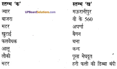 UP Board Solutions for Class 7 Agricultural Science Chapter 5 सामान्य फसलें img-1