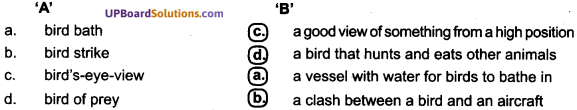 UP Board Solutions for Class 7 English Chapter 5 Little Birdie img-1