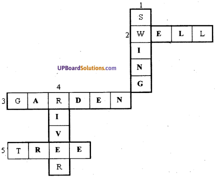 UP Board Solutions for Class 7 English Chapter 9 The Swing img-1