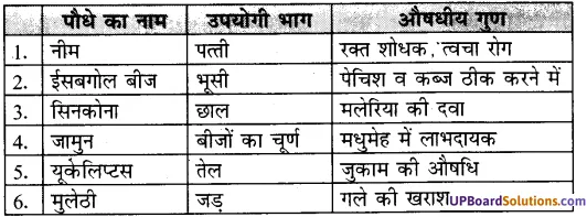 UP Board Solutions for Class 7 Environment Chapter 7 वन एवं वन्य जीव img-1