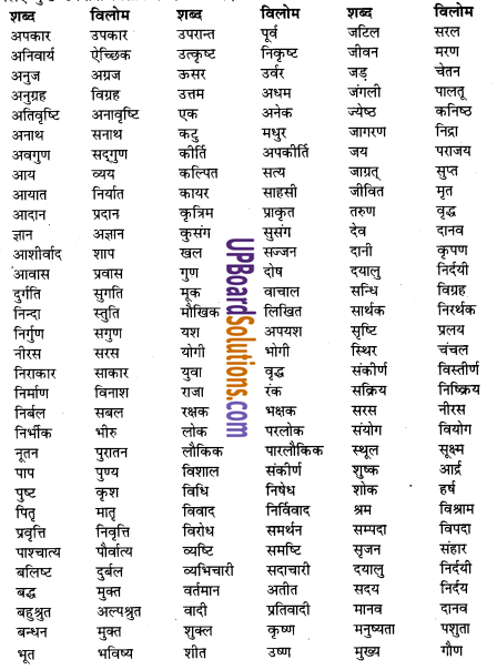 UP Board Solutions for Class 7 Hindi व्याकरण image - 2