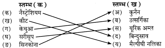 UP Board Solutions for Class 7 Science Chapter 10 जीवों में उत्सर्जन 4