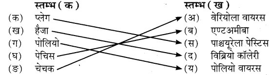 UP Board Solutions for Class 7 Science Chapter 13 भोजन, स्वास्थ्य व रोग 4