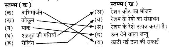 UP Board Solutions for Class 7 Science Chapter 2 रेशों से वस्त्र तक 4