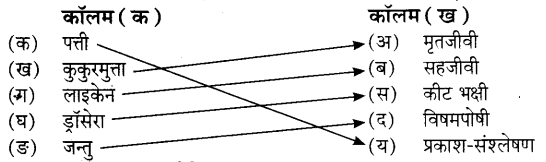 UP Board Solutions for Class 7 Science Chapter 6 पौधों में पोषण 3