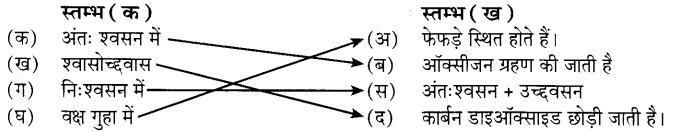 UP Board Solutions for Class 7 Science Chapter 8 जीवों में श्वसन 4