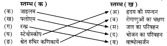 UP Board Solutions for Class 7 Science Chapter 9 जन्तुओं एवं पौधों में परिवहन 3