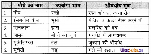UP Board Solutions for Class 8 Environment Chapter 7 वन एवं वन्य जीव 1