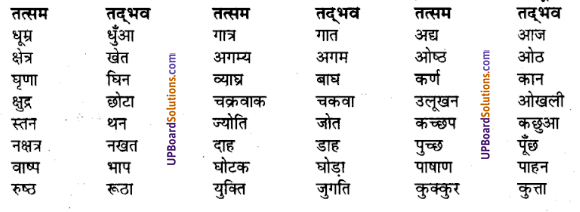 UP Board Solutions for Class 8 Hindi व्याकरण 10