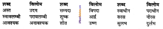 UP Board Solutions for Class 8 Hindi व्याकरण 3