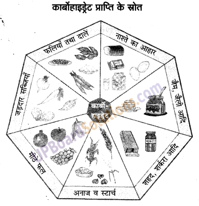 UP Board Solutions for Class 9 Home Science प्रयोगात्मक एवं प्रोजेक्ट कार्य