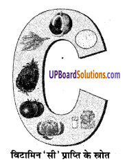 UP Board Solutions for Class 9 Home Science प्रयोगात्मक एवं प्रोजेक्ट कार्य