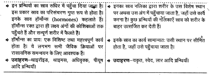 UP Board Solutions for Class 11 Biology Chapter 22 Chemical Coordination and Integration image 5