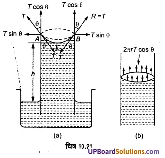 UP Board Solutions for Class 11 Physics Chapter 10 Mechanical Properties Of Fluids 74