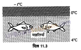 UP Board Solutions for Class 11 Physics Chapter 11 Thermal Properties of matter 33