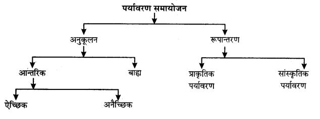UP Board Solutions for Class 12 Geography Chapter 3 Man and His Environment 1
